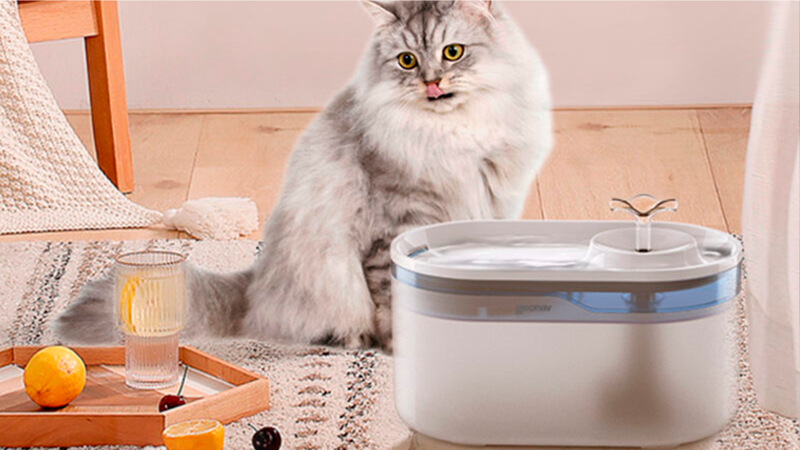 Bebedouro inteligente para pets