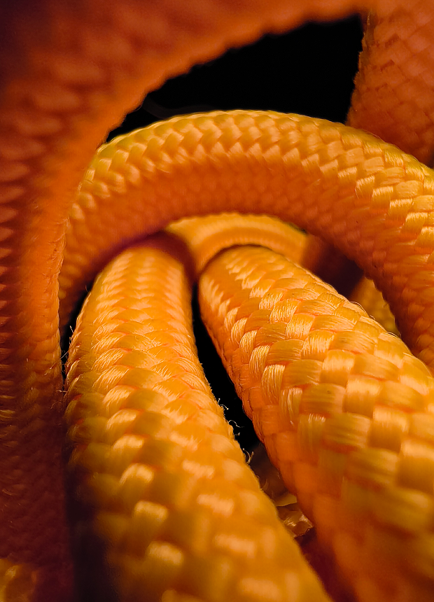 <b style="font-weight: 700;font-size: 36px;">Fotos incríveis mesmo no escuro</b>