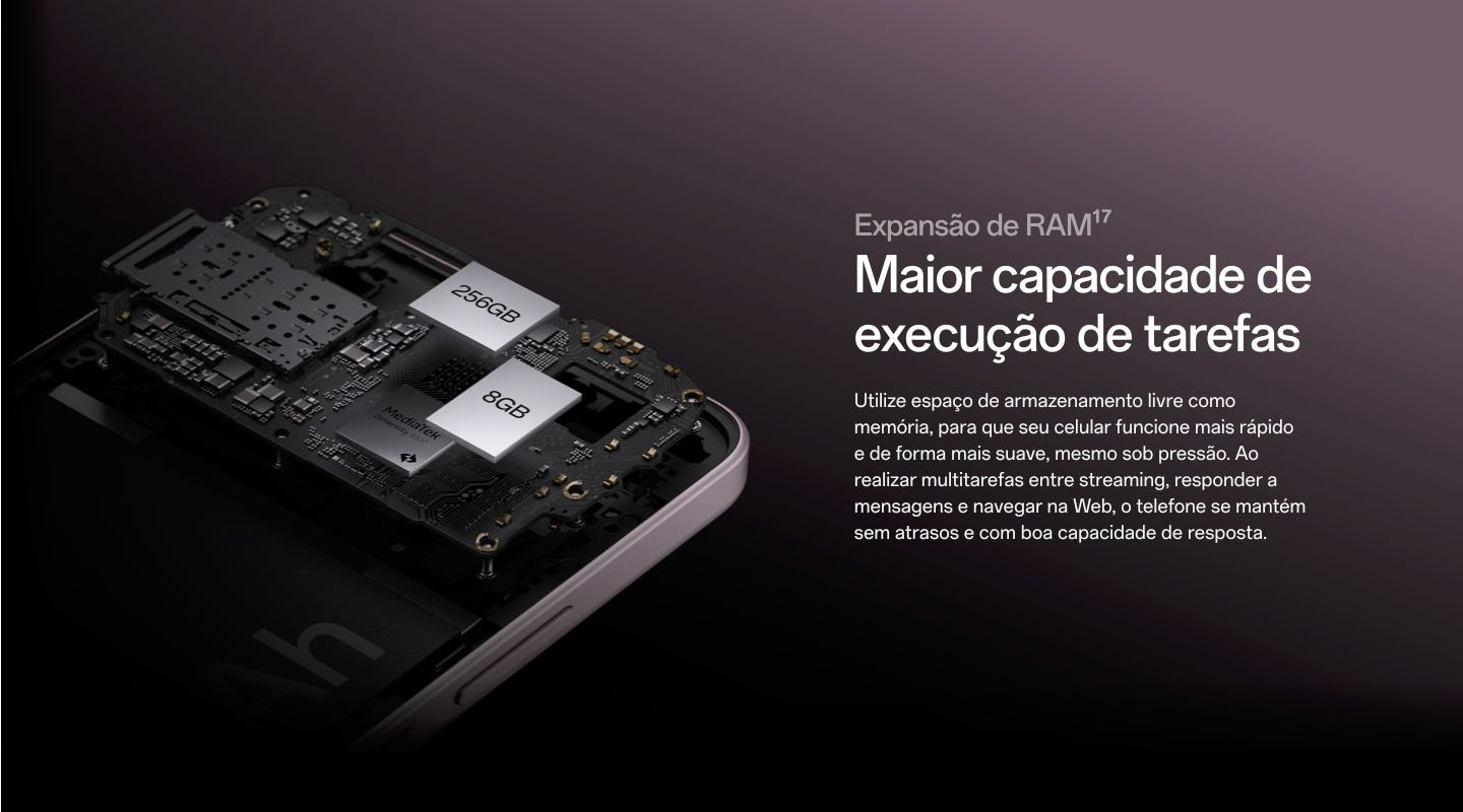 BR-A5Pro-Preview_13_RAM.jpg